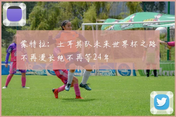 蒙特拉：土耳其队未来世界杯之路不再漫长绝不再等24年